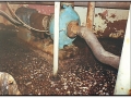 -Pulp and Paper Bleach Plant Floor